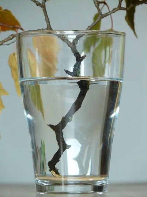 Мотивація
