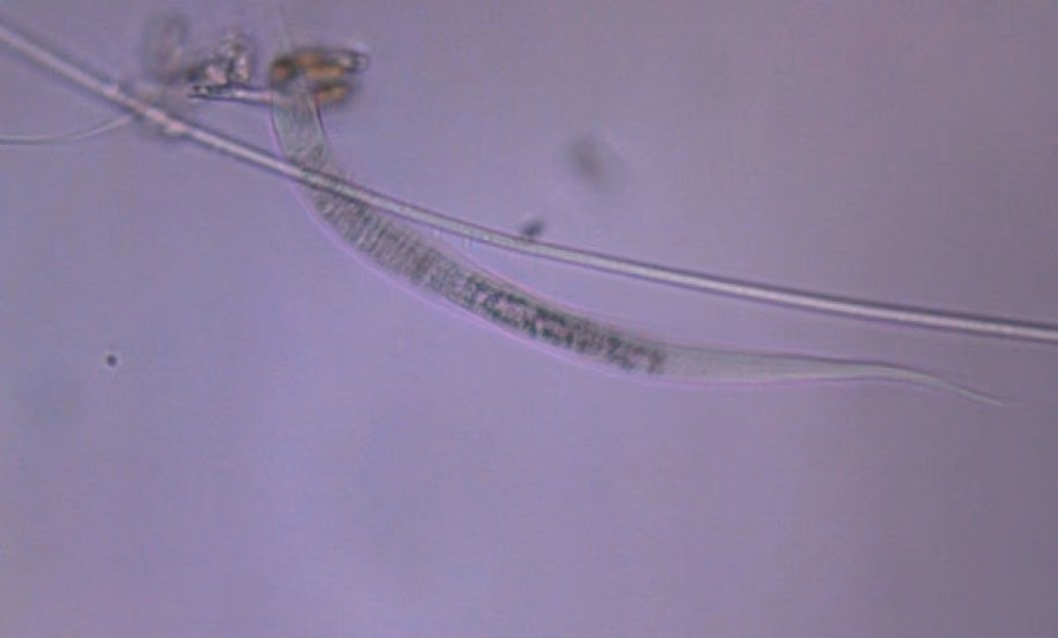 Завдання