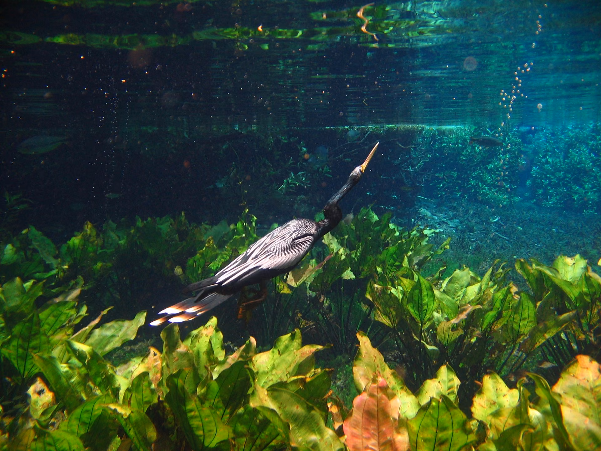 Складання