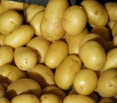 Мотивація