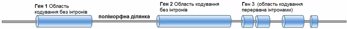 Мотивація