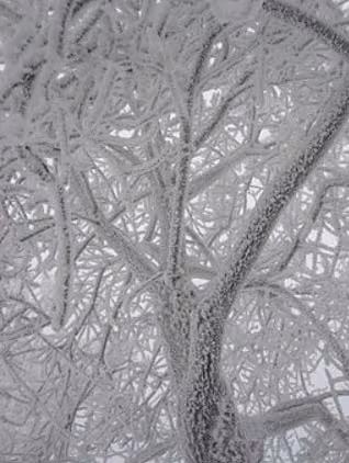 Мотивація