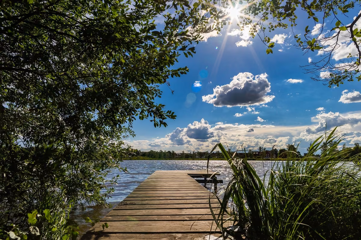 Мотивація, ілюстрація 2 з 2